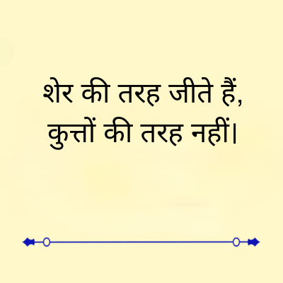 शेर की तरह जीते हैं,
कुत्तों की तरह नहीं।