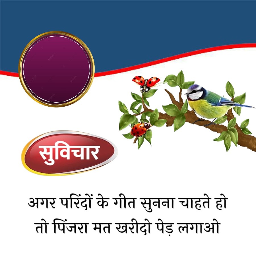 pngred
pouled
native
phothes
सुविचार
अगर परिंदों के गीत सुनना चाहते हो
तो पिंजरा मत खरीदी पेड़ लगाओ