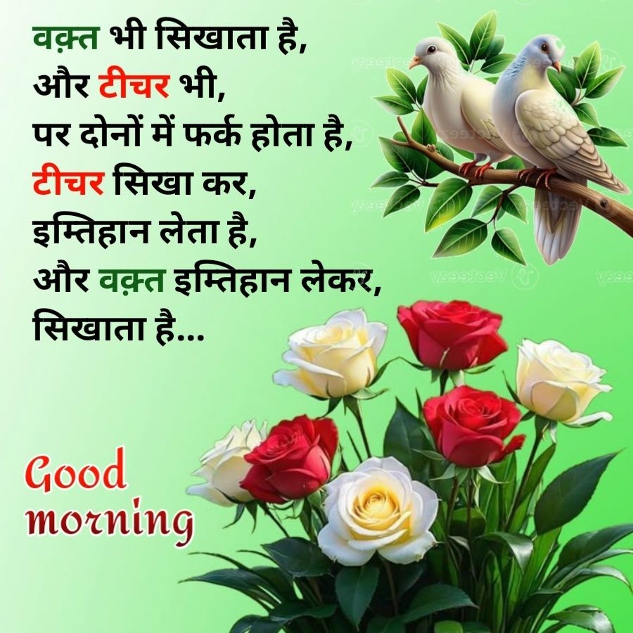 वक़्त भी सिखाता है,
और टीचर भी,
पर दोनों में फर्क होता है,
टीचर सिखा कर,
इम्तिहान लेता है,
और वक़्त इम्तिहान लेकर,
(sentacy (3)
V399
सिखाता है...
Good
morning