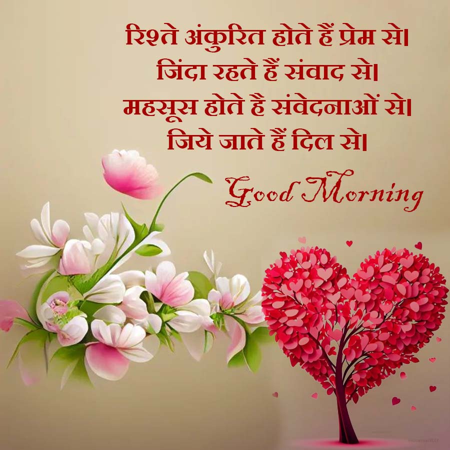 रिश्ते अंकुरित होते हैं प्रेम से।
जिंदा रहते हैं संवाद से।
महसूस होते है संवेदनाओं से ।
जिये जाते हैं दिल से |
Good Morning