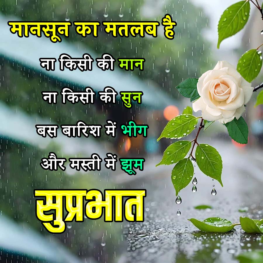 मानसून का मतलब है
ना किसी की मान
ना किसी की सुन
बस बारिश में भीग
और मस्ती में झुम
सुप्रभात