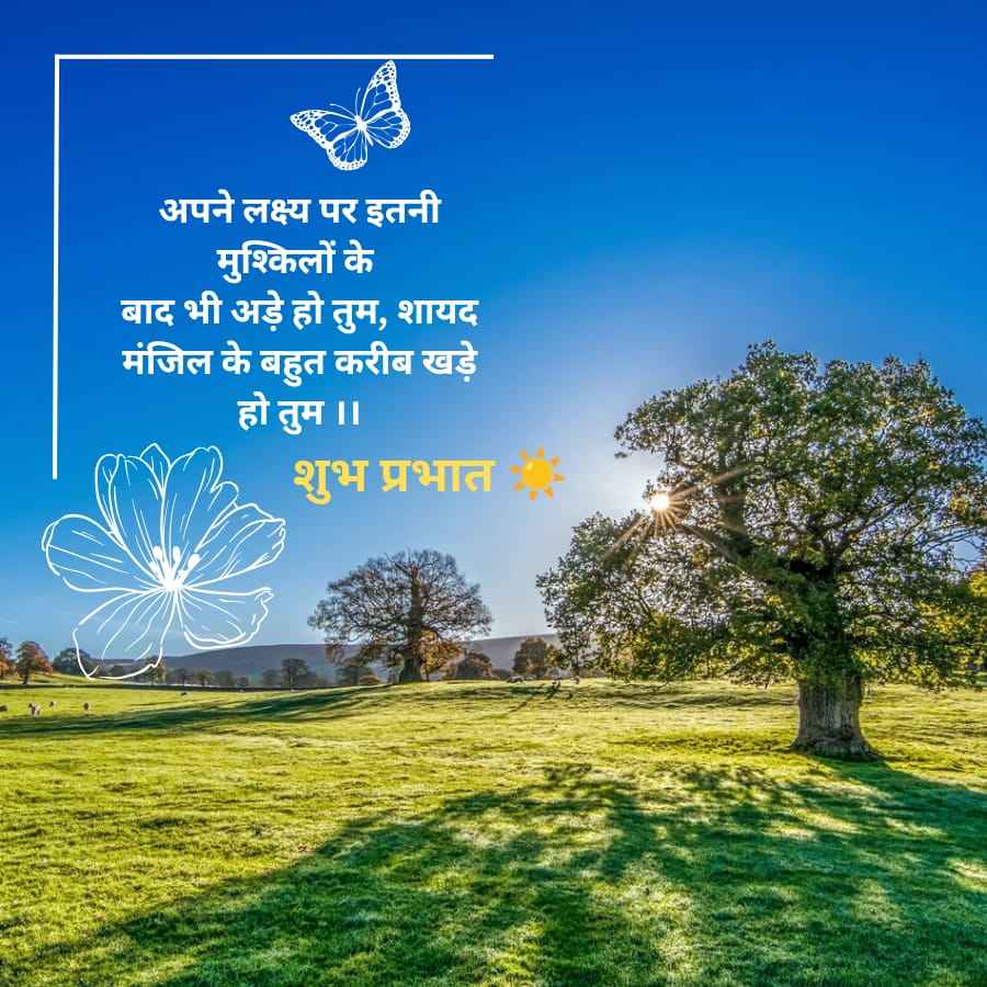 अपने लक्ष्य पर इतनी
मुश्किलों के
बाद भी अड़े हो तुम, शायद
मंजिल के बहुत करीब खड़े
हो तुम ॥
शुभ प्रभात