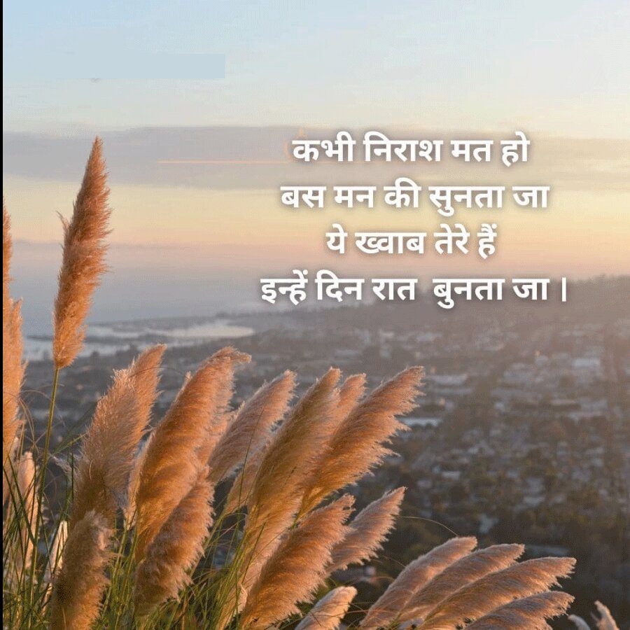 कभी निराश मत हो
बस मन की सुनता जा
ये ख्वाब तेरे हैं
इन्हें दिन रात बुनता जा ।