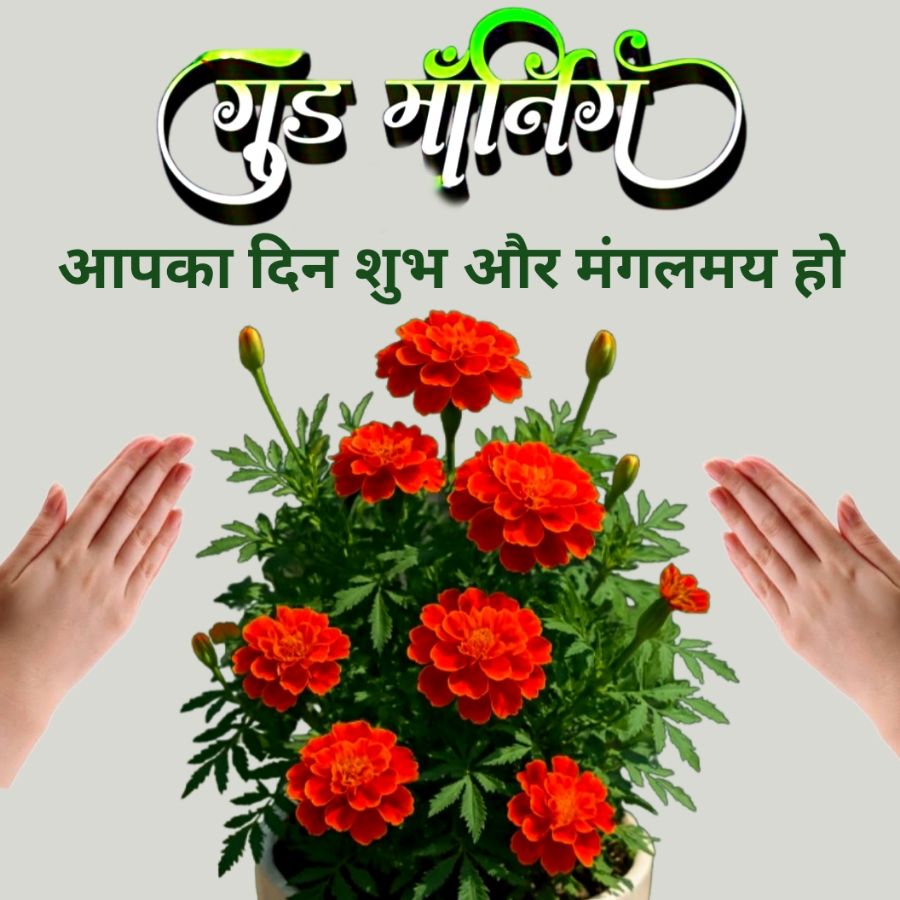 ગ્રહ માન
आपका दिन शुभ और मंगलमय हो