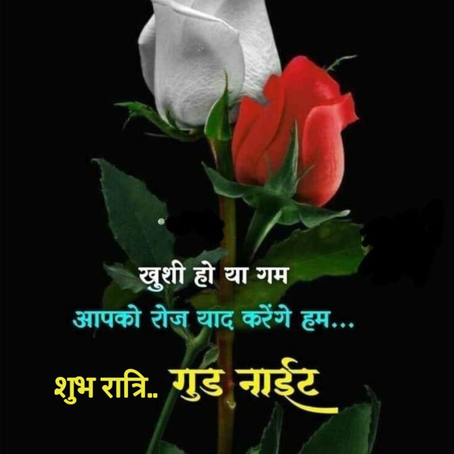 Good Morning Quotes