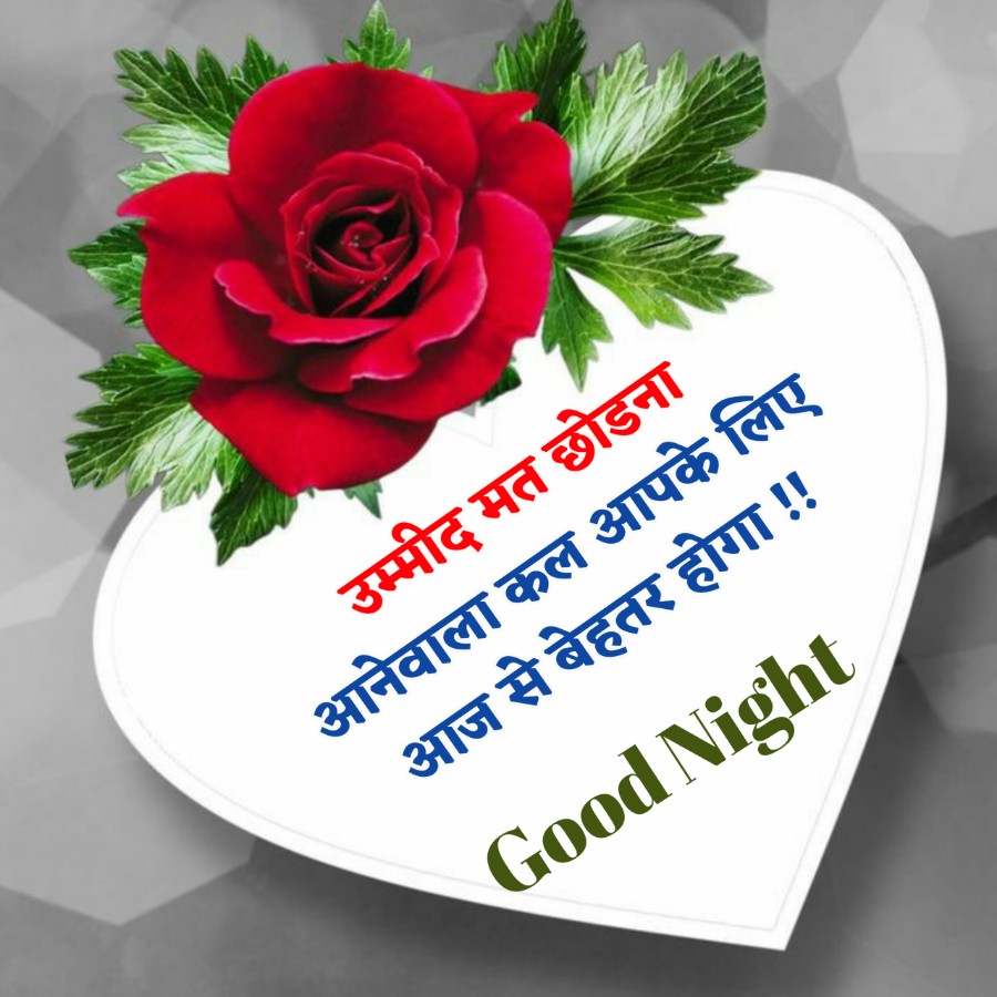 उम्मीद मत छोडना
आनेवाला कल आपके लिए
आज से बेहतर होगा !!
Good Night