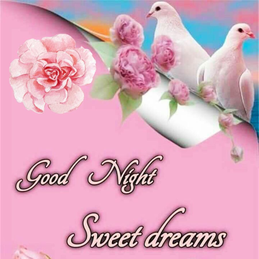 Good Morning Quotes