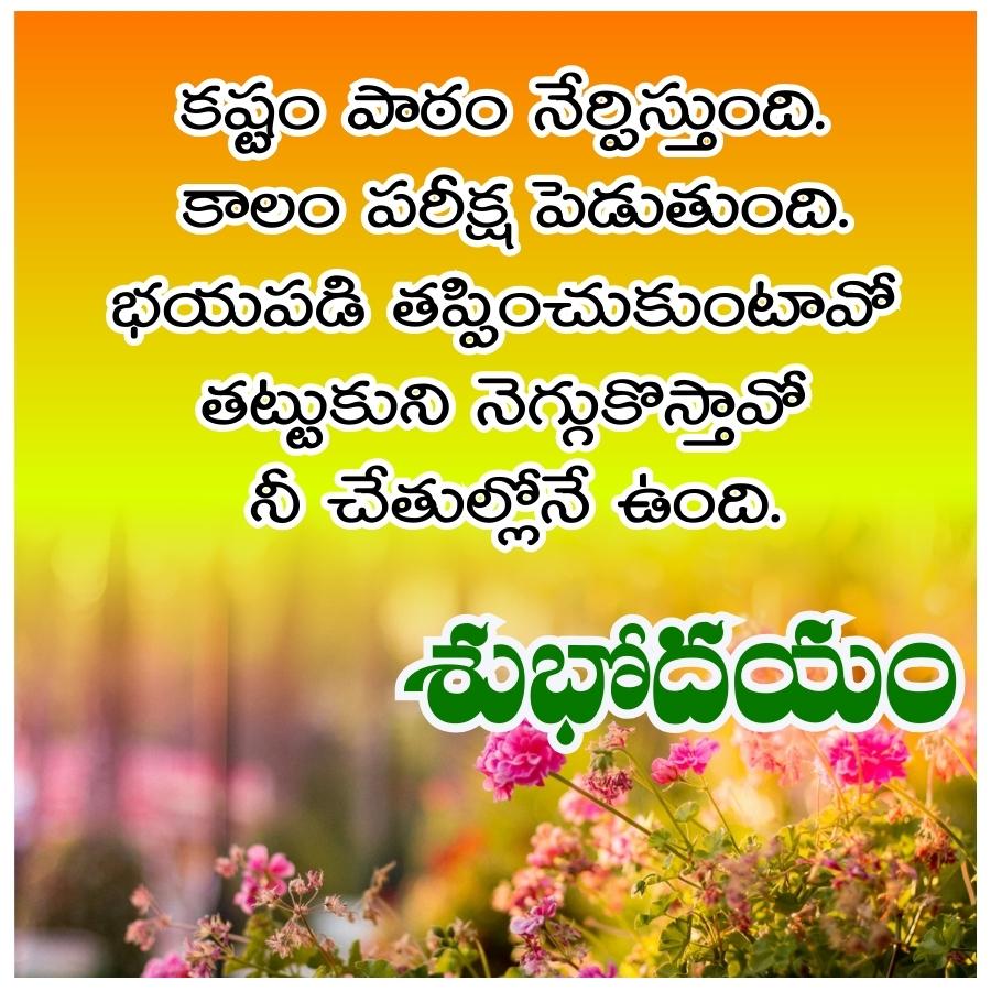 కష్టం పాఠం నేర్పిస్తుంది.
కాలం పరీక్ష పెడుతుంది.
భయపడి తప్పించుకుంటావో
తట్టుకుని
నెగ్గుకొస్తావో
నీ చేతుల్లోనే ఉంది.
శుభోదయం