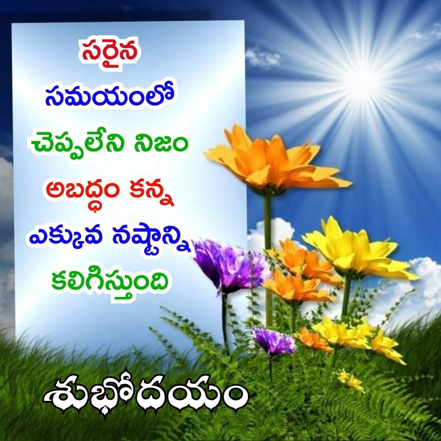 Good Morning Quotes