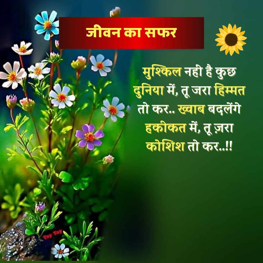Tay Tay,
जीवन का सफर
मुश्किल नही है कुछ
दुनिया में, तू जरा हिम्मत
तो कर.. ख्वाब बदलेंगे
हकीकत में, तू ज़रा
कोशिश तो कर..!!