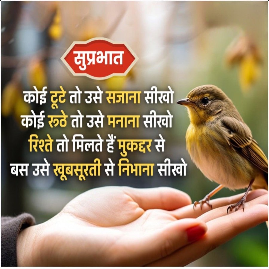 सुप्रभात
कोई टूटे तो उसे सजाना सीखो
कोई रूठे तो उसे मनाना सीखो
रिश्ते तो मिलते हैं मुकद्दर से
बस उसे खूबसूरती से निभाना सीखो