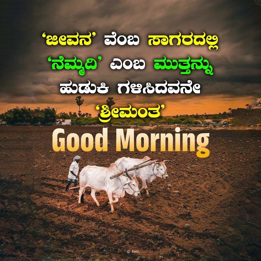 'ಜೀವನ' ವೆಂಬ ಸಾಗರದಲ್ಲಿ
'ನೆಮ್ಮದಿ' ಎಂಬ ಮುತ್ತನ್ನು
ಹುಡುಕಿ ಗಳಿಸಿದವನೇ
'ಶ್ರೀಮಂತ
Good Morning
©Sadili