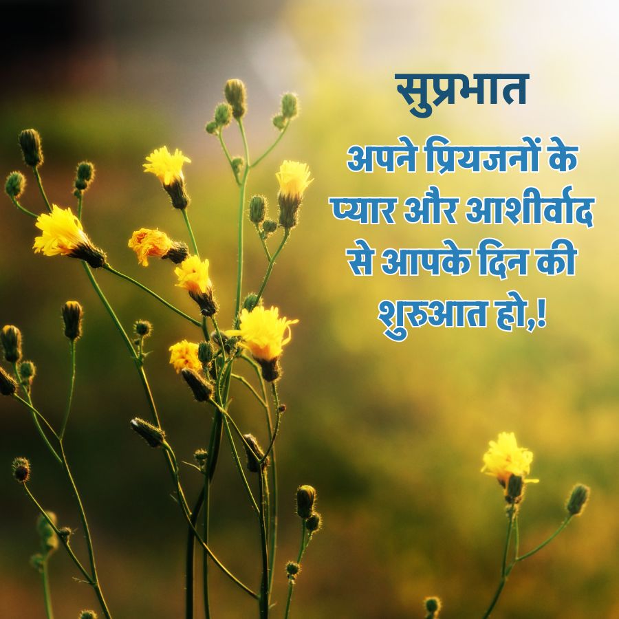 सुप्रभात
अपने प्रियजनों के
प्यार और आशीर्वाद
से आपके दिन की
शुरुआत हो, !