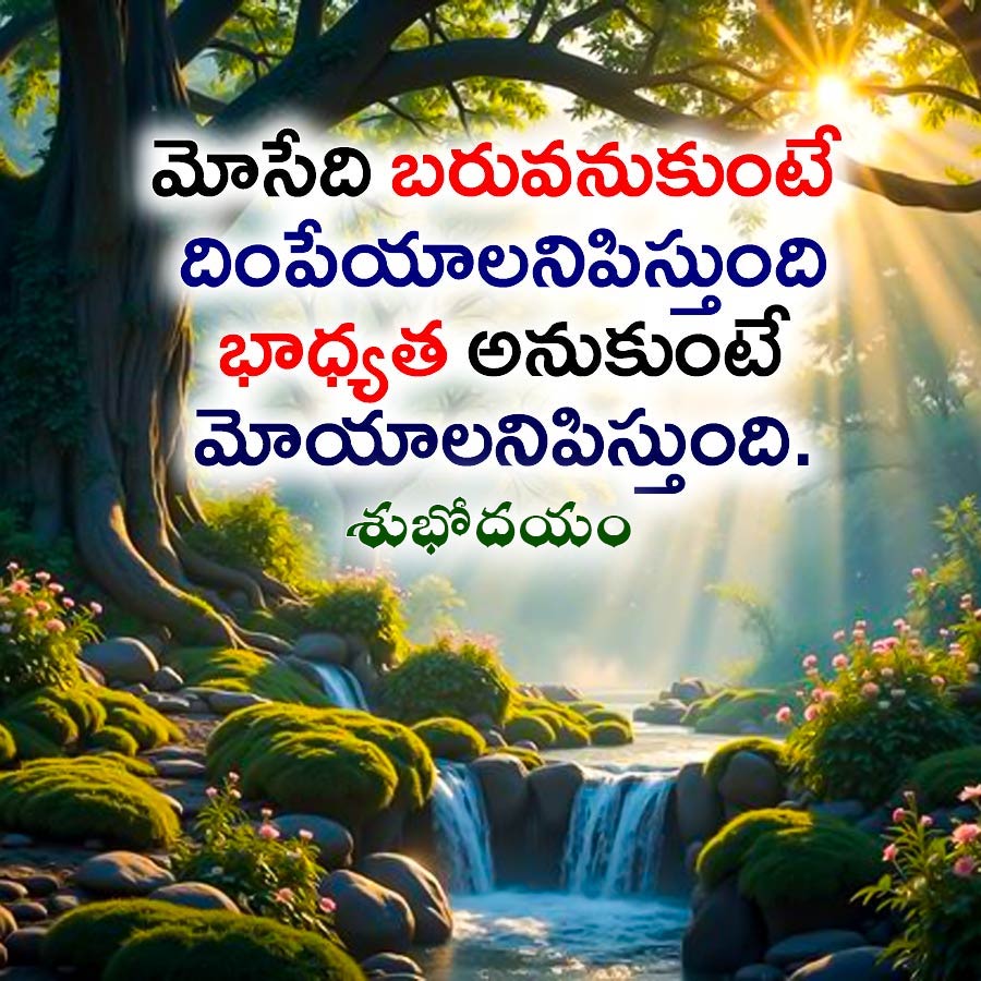 Good Morning Quotes