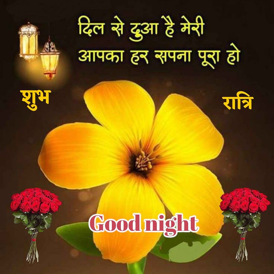 Good Morning Quotes