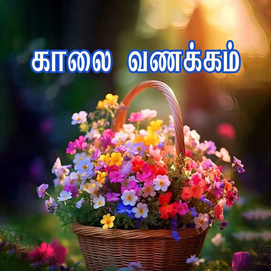 Good Morning Quotes