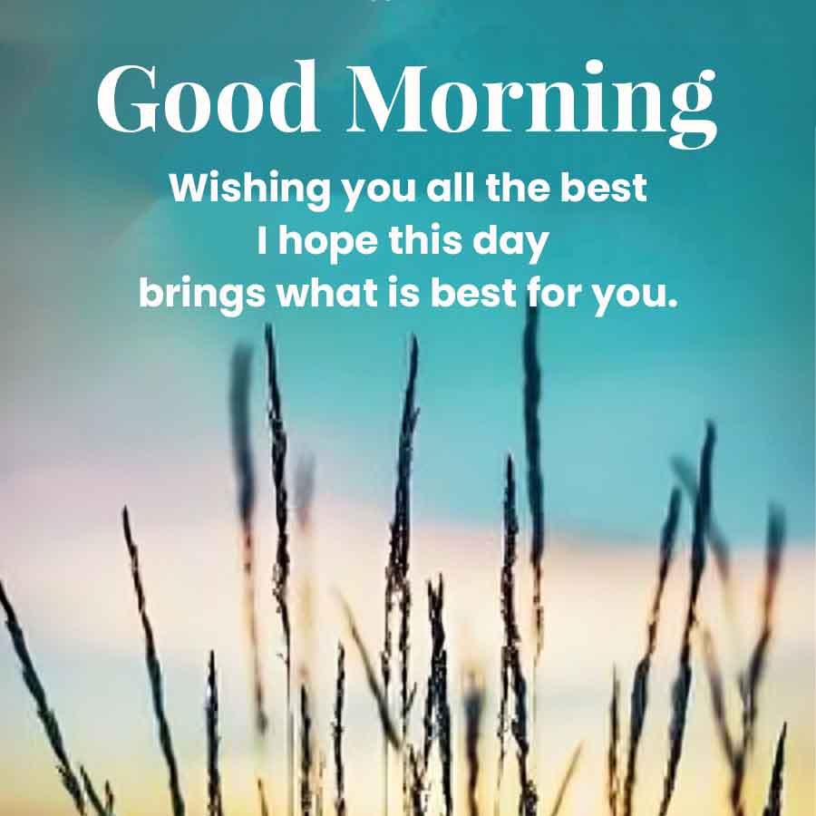 Good Morning
Wishing you all the best
I hope this day
brings what is best for you.