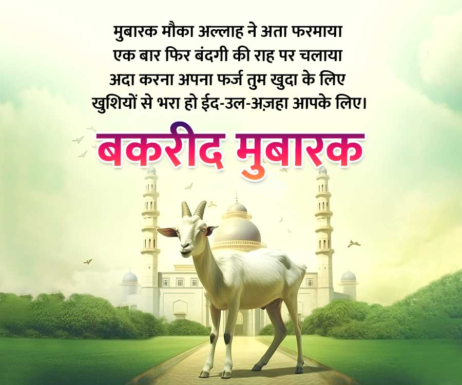 Good Morning Quotes