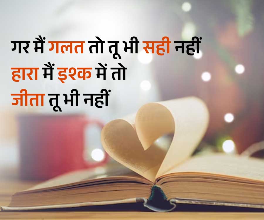 गर मैं गलत तो तू भी सही नहीं
हारा मैं इश्क में तो
जीता तू भी नहीं