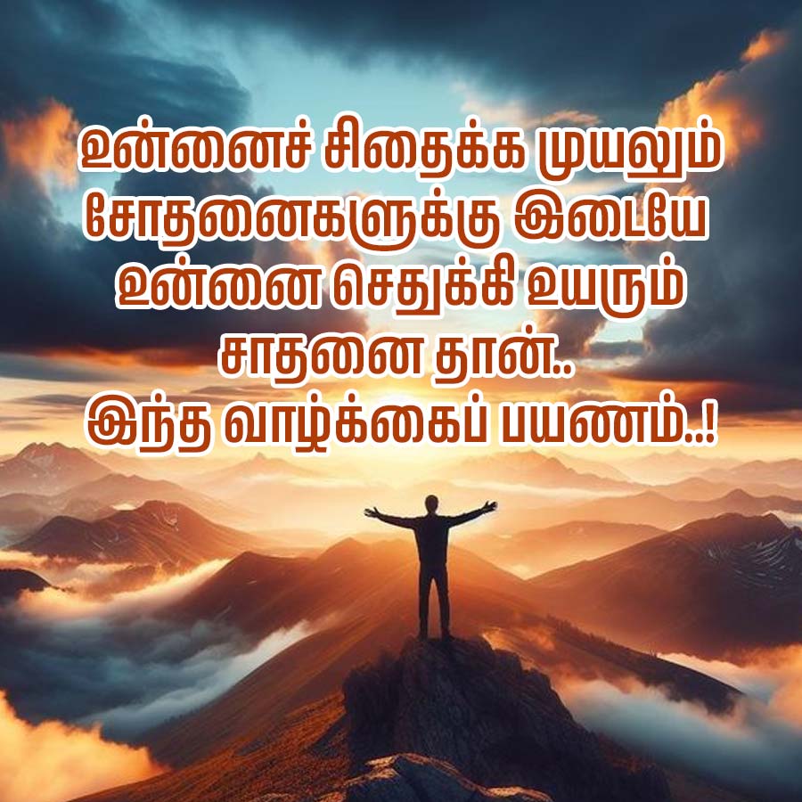 உன்னைச் சிதைக்க முயலும்
சோதனைகளுக்கு
இடையே
உன்னை செதுக்கி உயரும்
சாதனை தான்..
இந்த வாழ்க்கைப் பயணம்..!