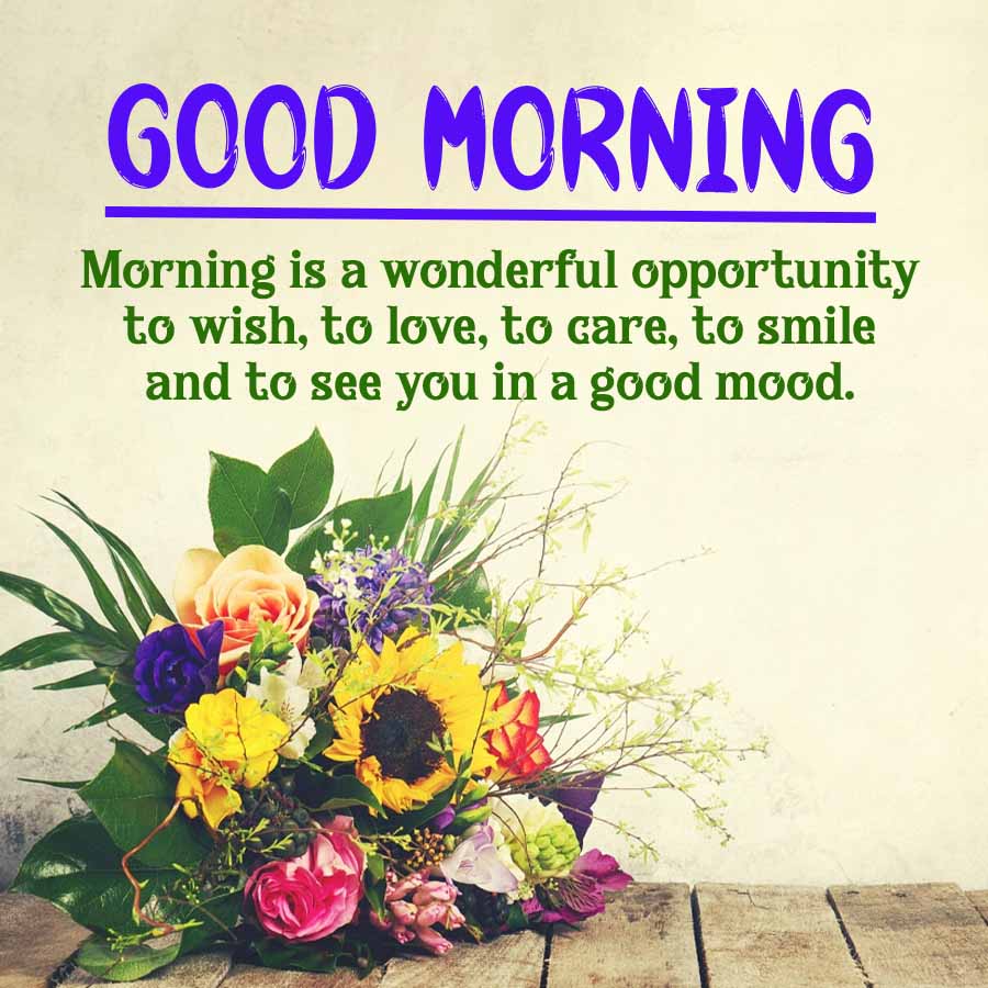 GOOD MORNING
Morning is a wonderful opportunity
to wish, to love, to care, to smile
and to see you in a good mood.