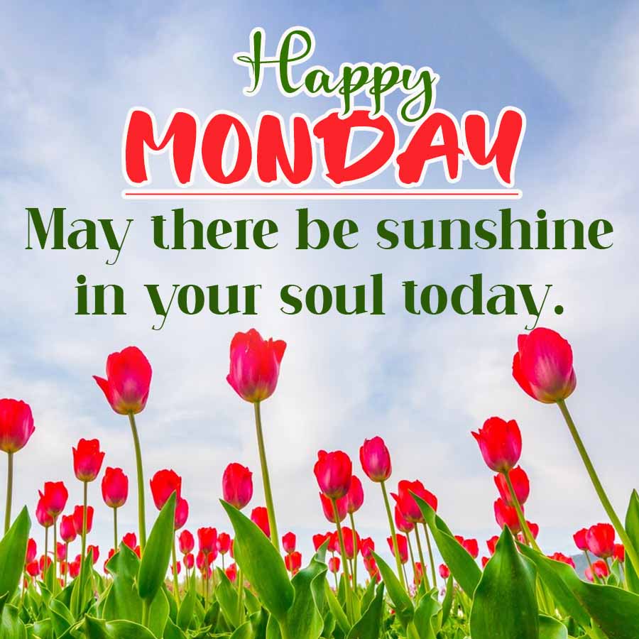 Happy
MONDAY
May there be sunshine
in your soul today.