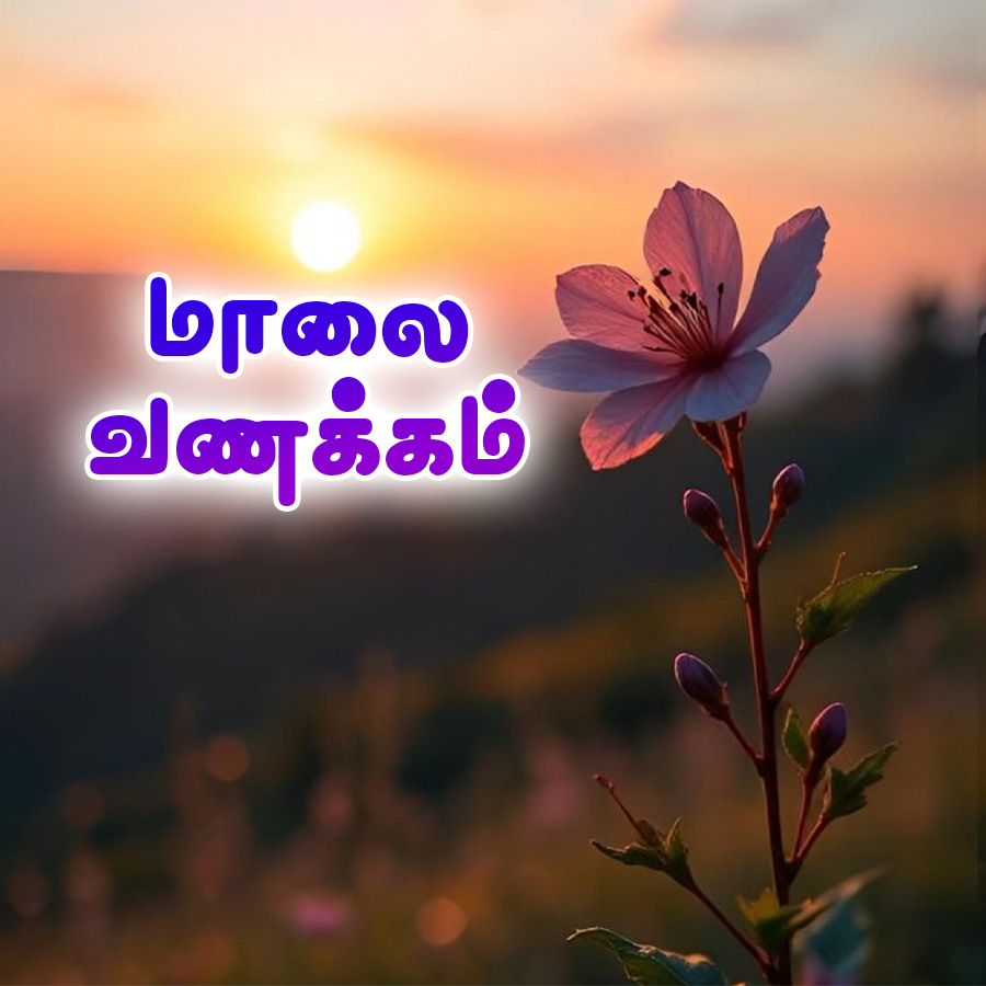 Good Morning Quotes