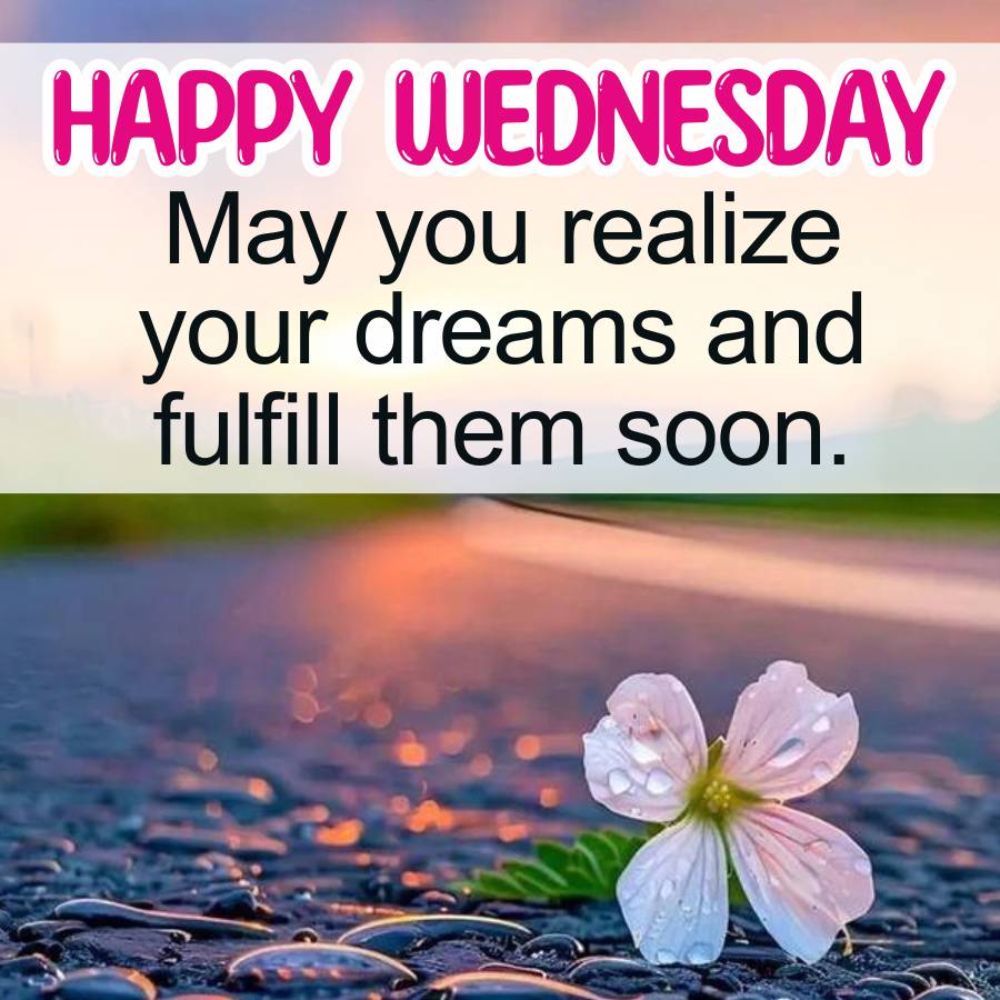 HAPPY WEDNESDAY
May you realize
your dreams and
fulfill them soon.