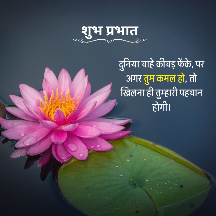 शुभ प्रभात
दुनिया चाहे कीचड़ फेंके, पर
अगर तुम कमल हो, तो
खिलना ही तुम्हारी पहचान
होगी।
