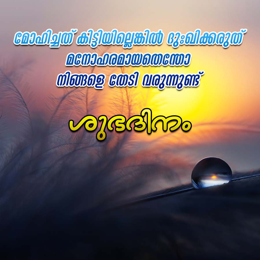 മോഹിച്ചത് കിട്ടിയില്ലെങ്കിൽ ദുഃഖിക്കരുത്
മനോഹരമായതെന്തോ
നിങ്ങളെ തേടി വരുന്നുണ്ട്