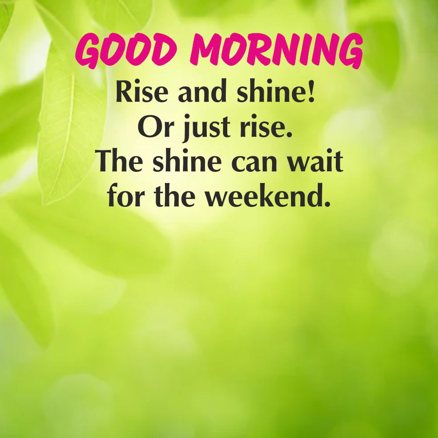 GOOD MORNING
Rise and shine!
Or just rise.
The shine can wait
for the weekend.