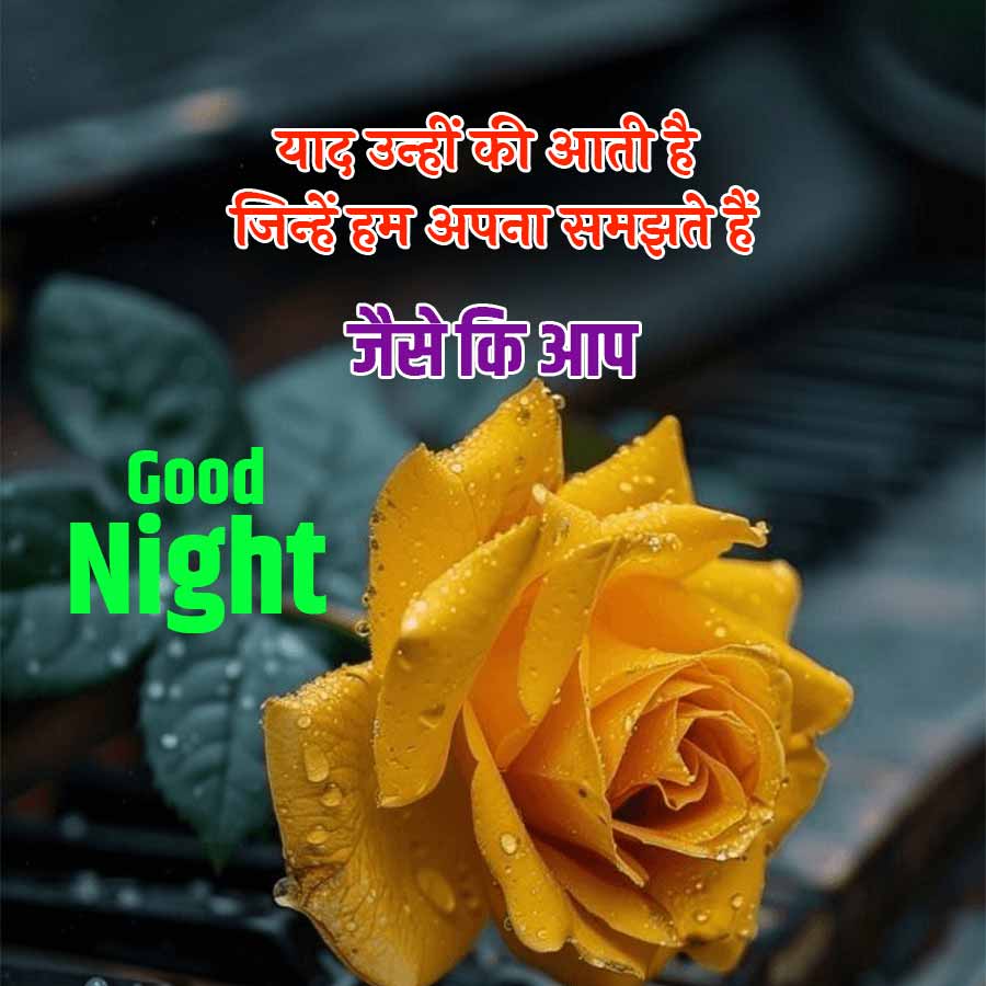 Good
याद उन्हीं की आती है
जिन्हें हम अपना समझते हैं
Night
जैसे कि आप