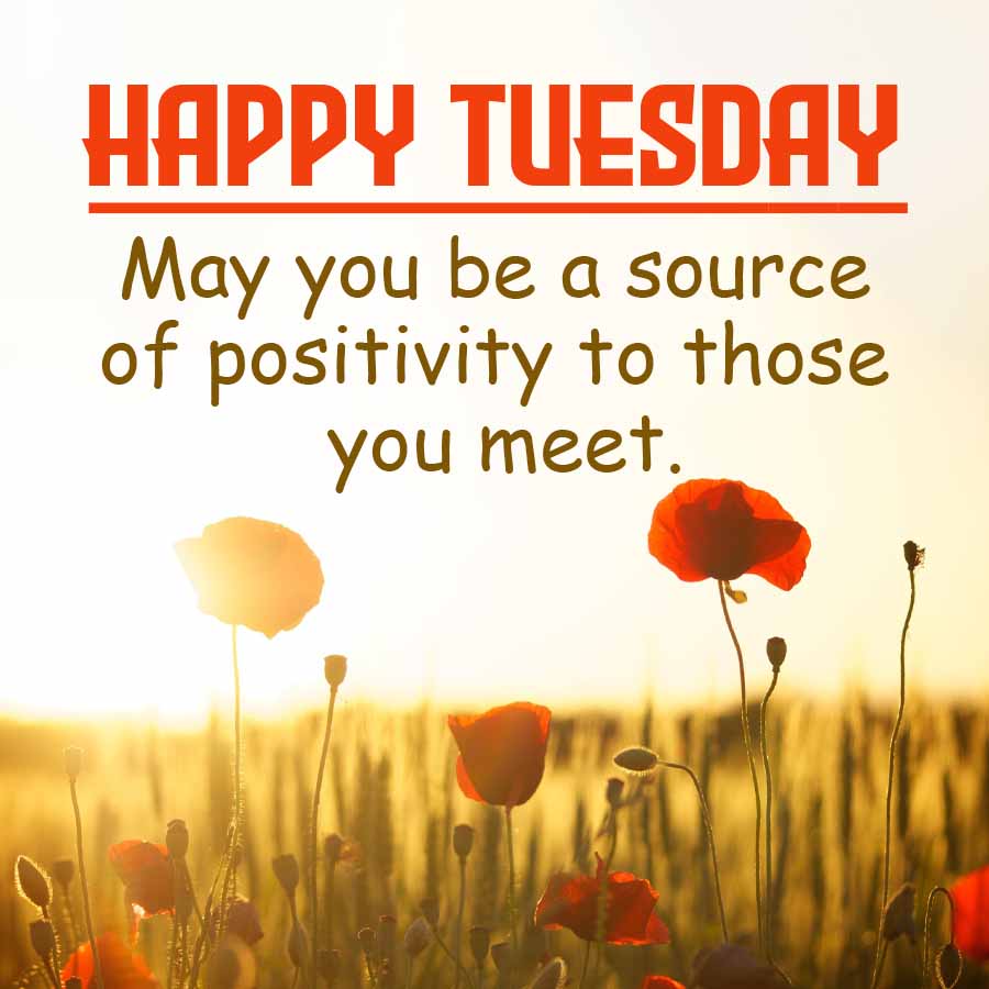 HAPPY TUESDAY
May you be a source
of positivity to those
you meet.