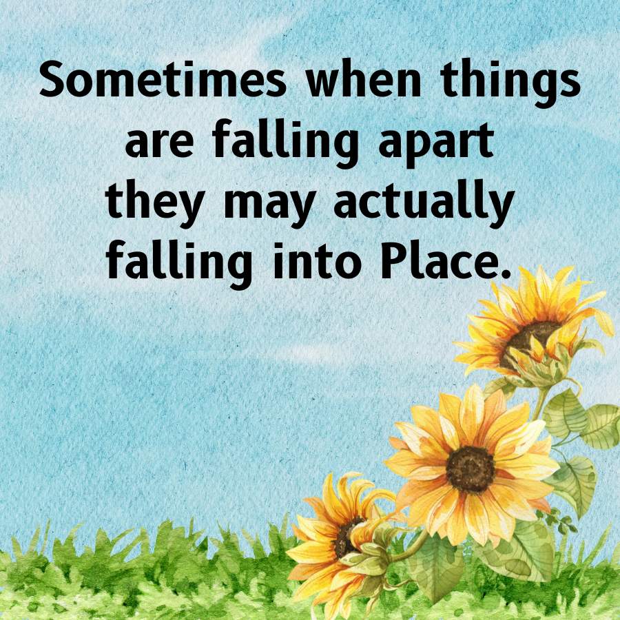Sometimes when things
are falling apart
they may actually
falling into Place.