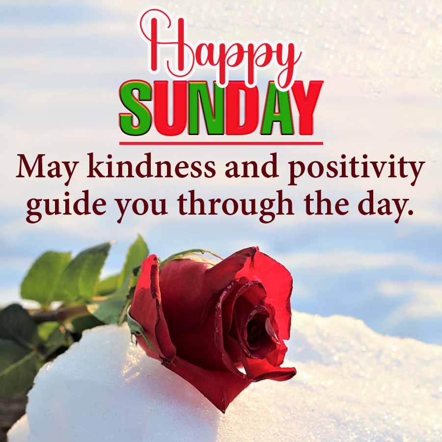 Happy
SUNDAY
May kindness and positivity
guide you through the day.