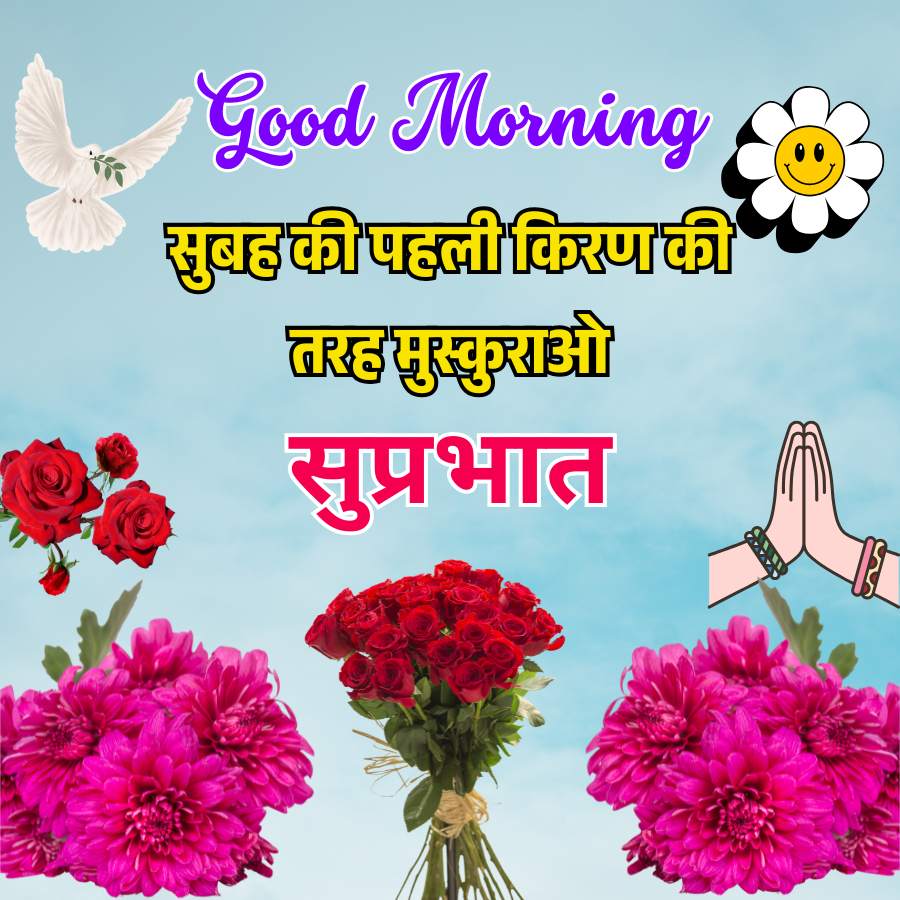Good Morning
सुबह की पहली किरण की
तरह मुस्कुराओ
सुप्रभात