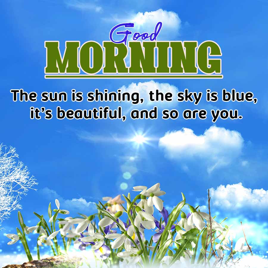 Good
MORNING
The sun is shining, the sky is blue,
it's beautiful, and so are you.
