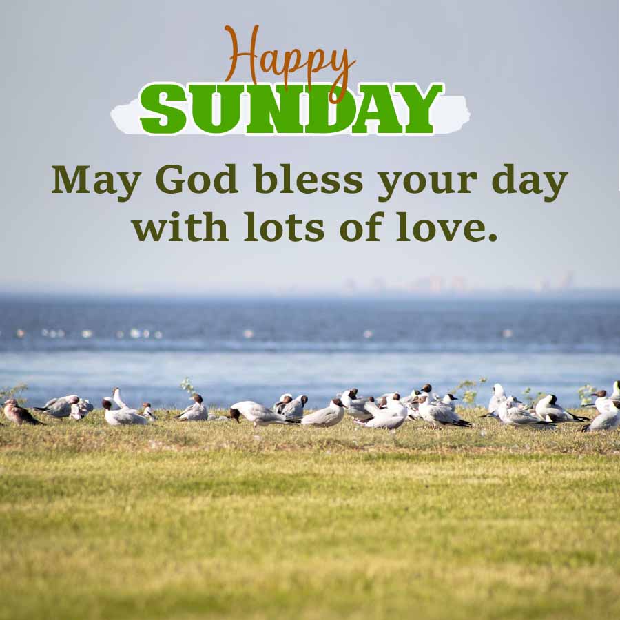 Good Morning Quotes