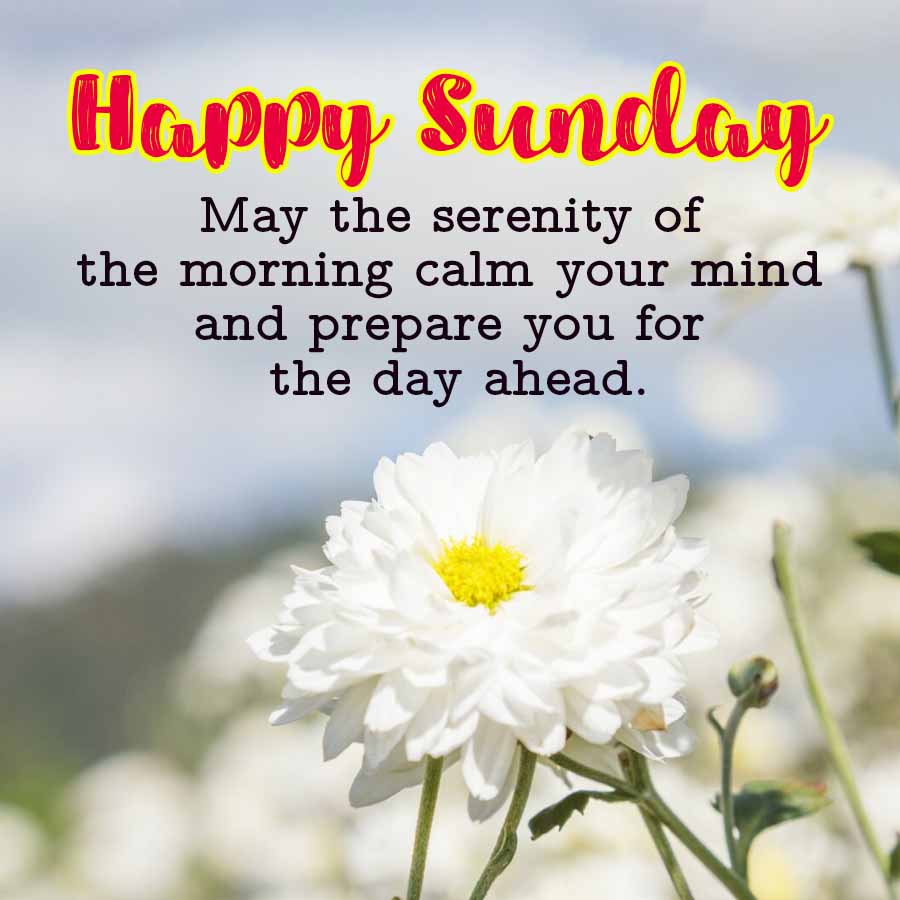 Happy Sunday
May the serenity of
the morning calm your mind
and prepare you for
the day ahead.