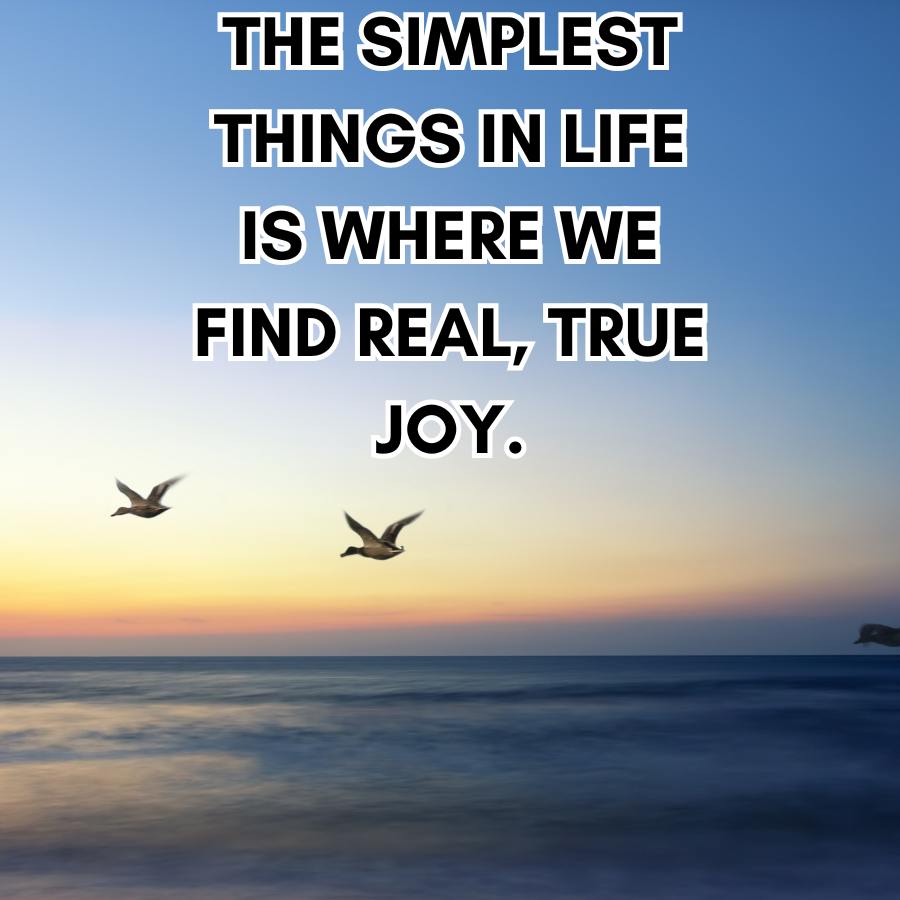 THE SIMPLEST
THINGS IN LIFE
IS WHERE WE
FIND REAL, TRUE
JOY.