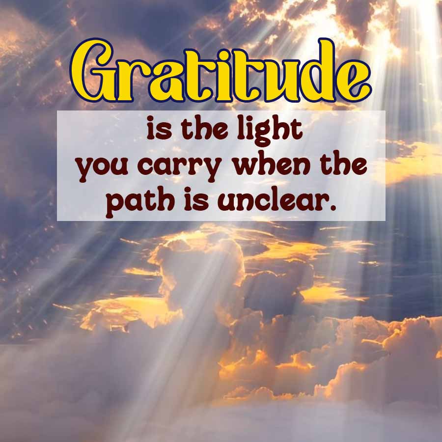 Gratitude
is the light
you carry when the
path is unclear.