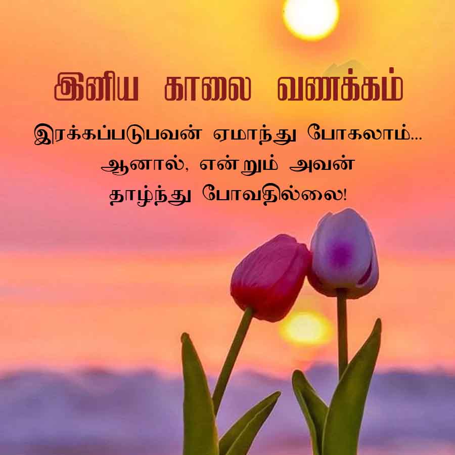 இனிய காலை வணக்கம்
இரக்கப்படுபவன் ஏமாந்து போகலாம்...
ஆனால், என்றும் அவன்
தாழ்ந்து போவதில்லை!