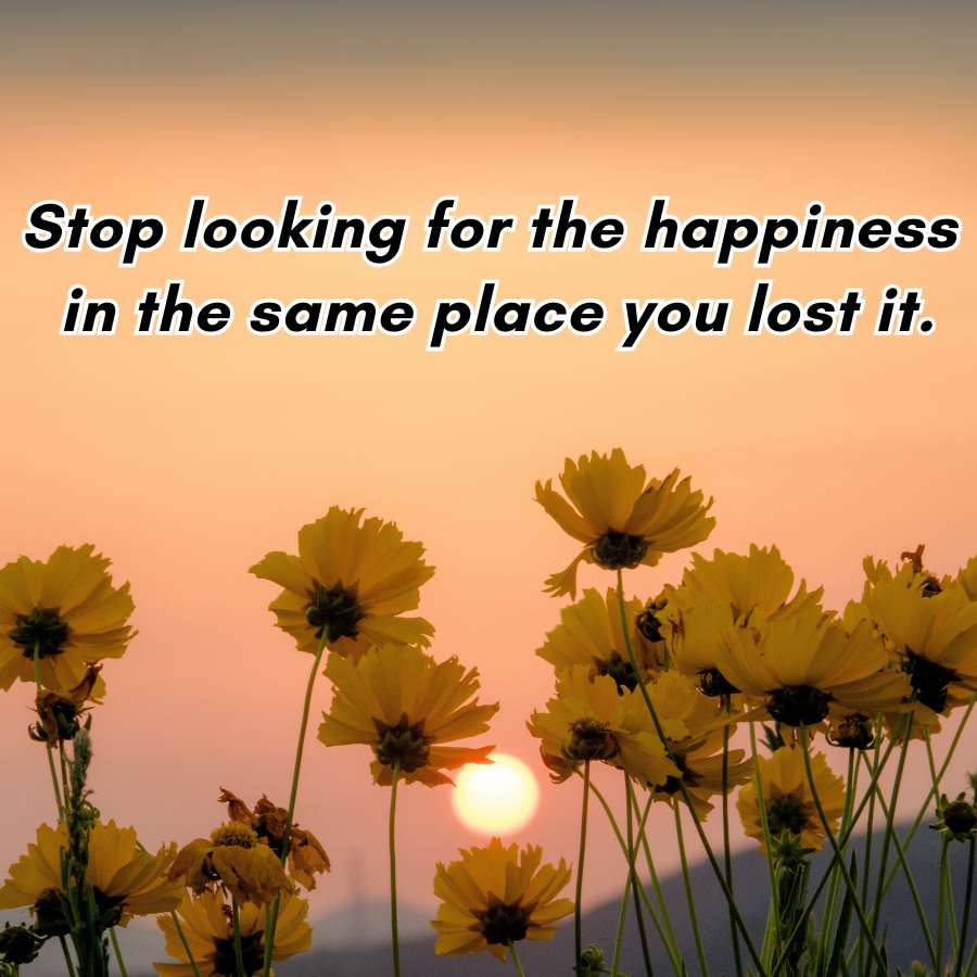 Stop looking for the happiness
in the same place you lost it.