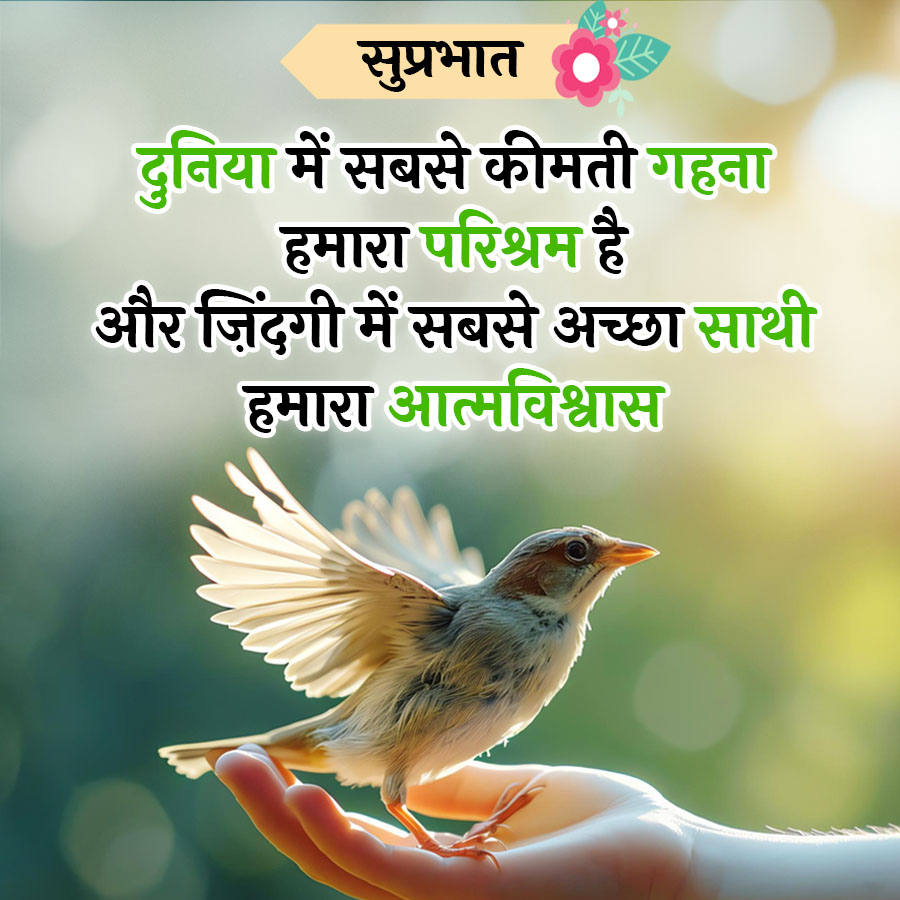 सुप्रभात
दुनिया में सबसे कीमती गहना
हमारा परिश्रम है
और जिंदगी में सबसे अच्छा साथी
हमारा आत्मविश्वास