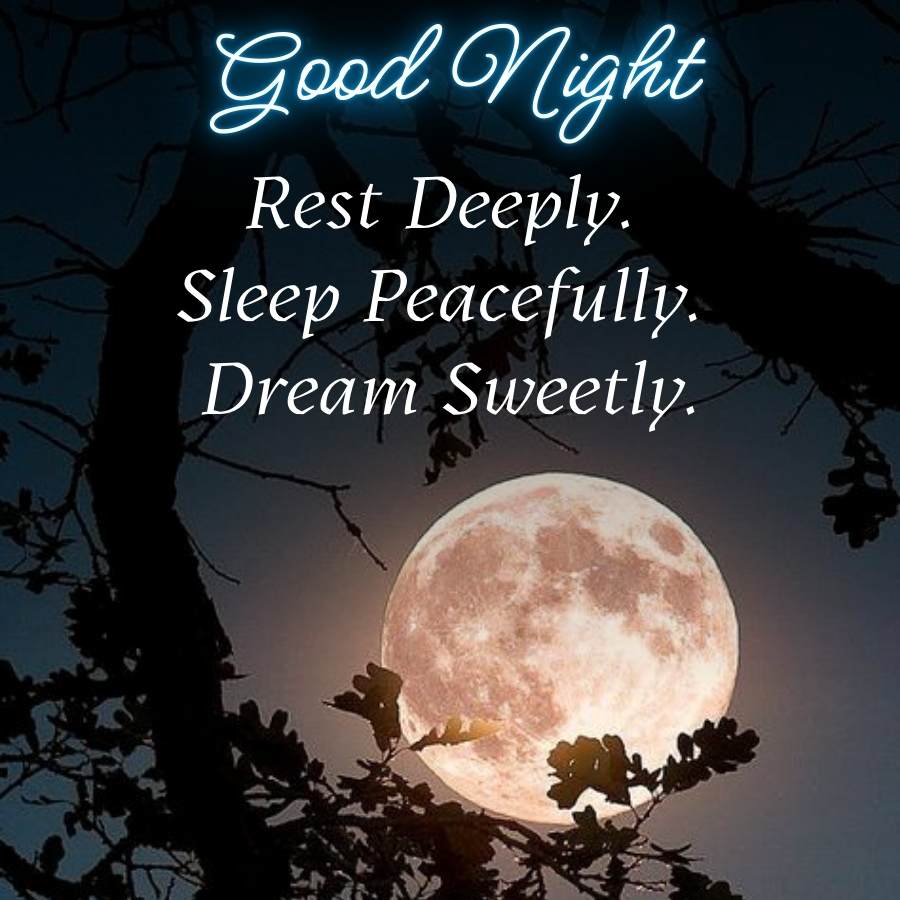 Good Night
Rest Deeply.
Sleep Peacefully.
Dream Sweetly.