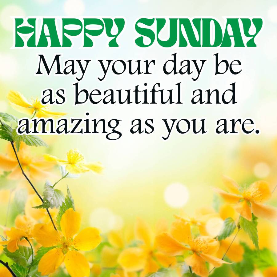 HAPPY SUNDAY
May your day be
as beautiful and
amazing as you are.