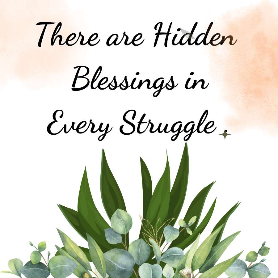 There are Hidden
Blessings in
Every Struggle +