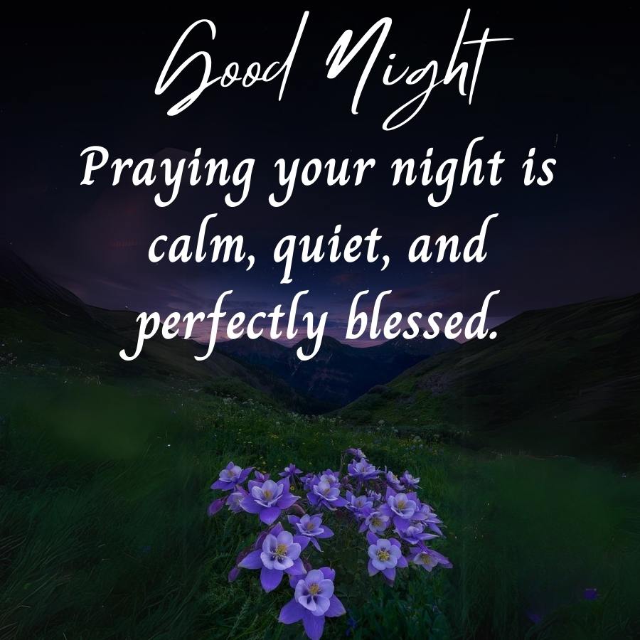 Good Night
Praying your night ís
calm, quiet, and
perfectly blessed.