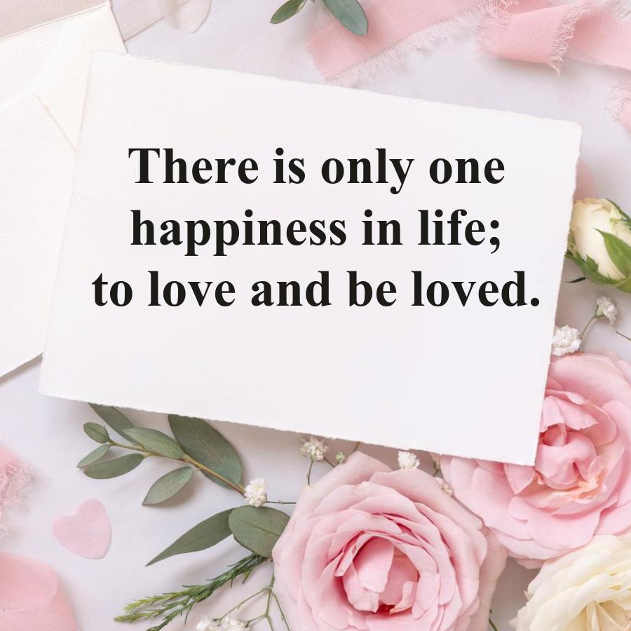 There is only one
happiness in life;
to love and be loved.