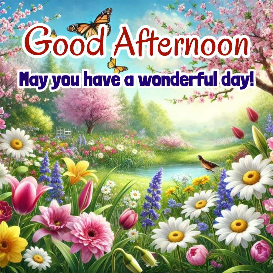 Good Afternoon
May you have a wonderful day!